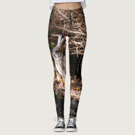Damasker för design för vildkaninkanin leggings
