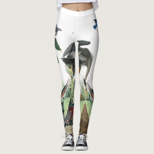 Damasker för fågel för blåsångare för Loon f Leggings