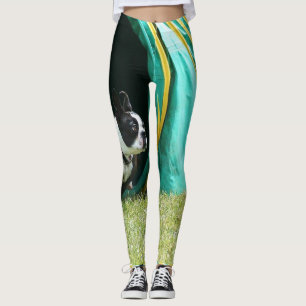 Damasker för konst för hund för AgilityBoston Leggings