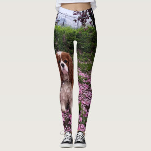 Damasker för Spaniel för Blenheim stolt kung Leggings