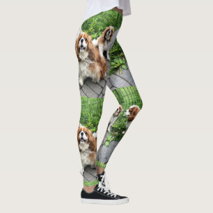 Damasker för vänner för Blenheim stolt kung Leggings