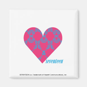 Damastast Aqua-Magenta 4 Magnet