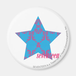 Damastast Magenta-Aqua 2 Magnet