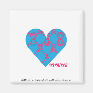 Damastast Magenta-Aqua 3 Magnet