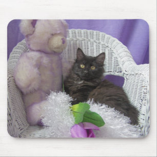 damblommamusen vadderar musmatta