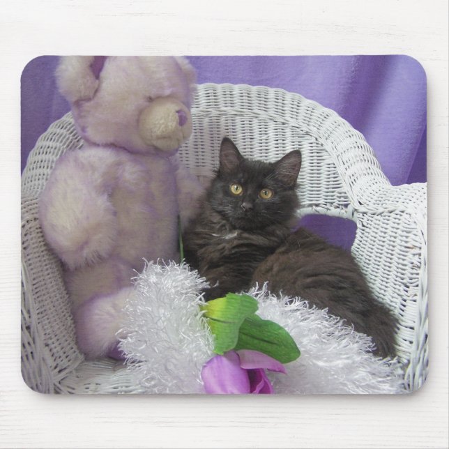 damblommamusen vadderar musmatta (Framsidan)