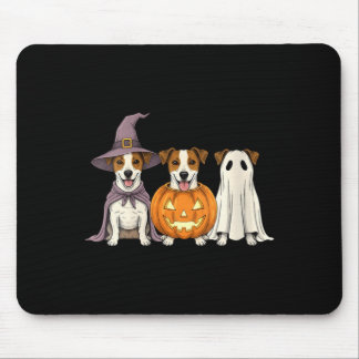 Damens spökliga spök Jack Russell Terrier Pumpa Musmatta