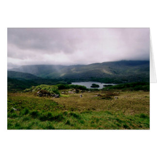 Damer beskådar hälsningskort