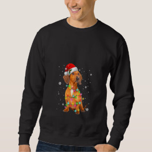 Damernas Dachshund Hundar Julgran Jultröja Xmas Lång Ärmad Tröja