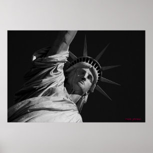 Damfrihet Poster