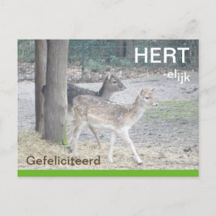 Damhjorten HÄrlig GRATULERAR Brevkort Vykort