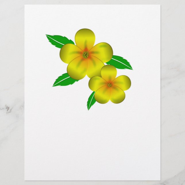 Damiana gula blommor reklamblad (Framsidan)