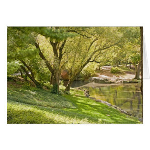 Damm - Central Park NYC Hälsningskort