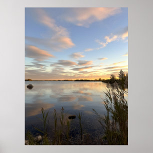 Damm Vattenlandskap Solnedgång Foto Affisch