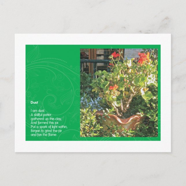 Damma av vykort (Framsida)