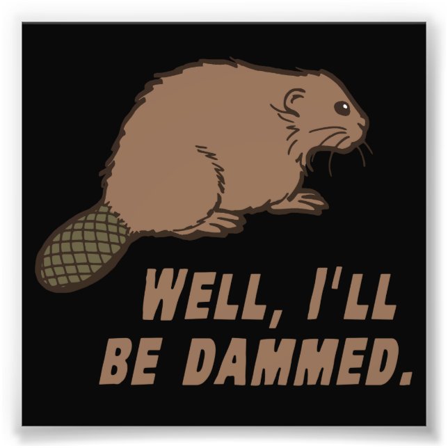 Dammed Beaver Fototryck (Framsidan)