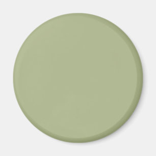 Dammig salvia grön enfärgad magnet