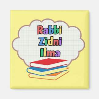 Dammisk islamiska kylmagneter magnet