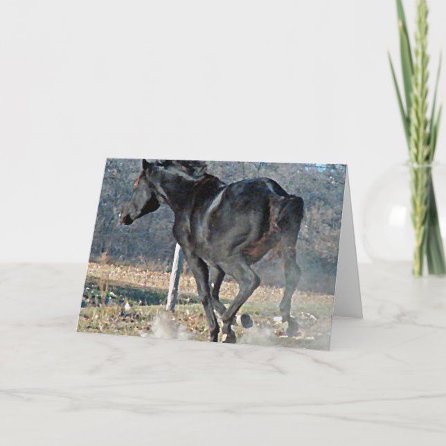 Dammmoln Kort (Framsida)