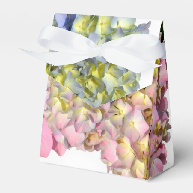 Dammrosa blå gul grön blommande hortensia  presentaskar (Framsidan Sidan)