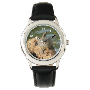 Dammsköldpadda Armbandsur