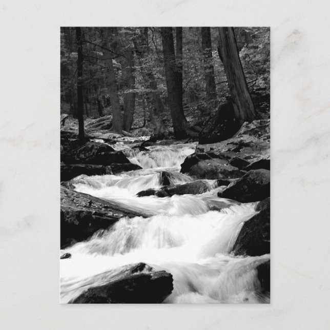 Dammspringabäck Vykort (Framsida)