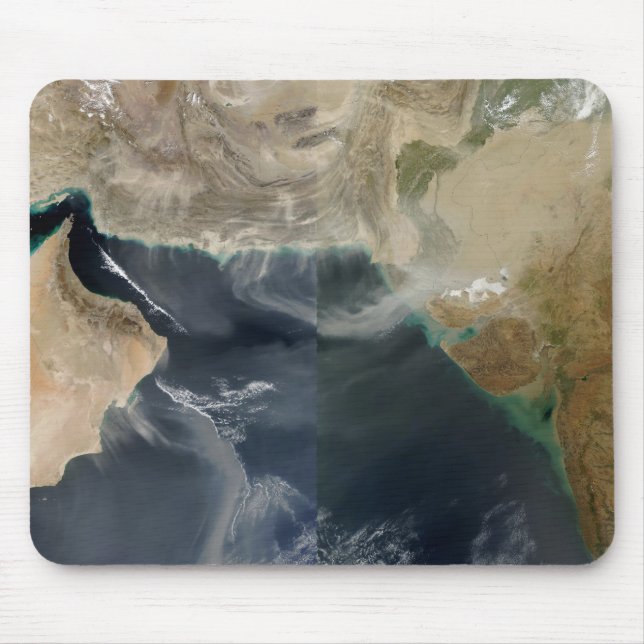 Dammstormar Musmatta (Framsidan)