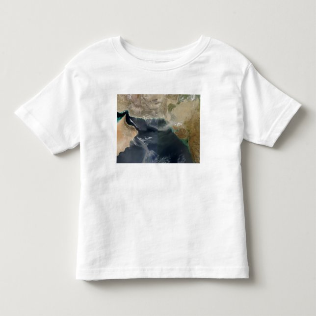 Dammstormar Tee Shirt (Framsida)