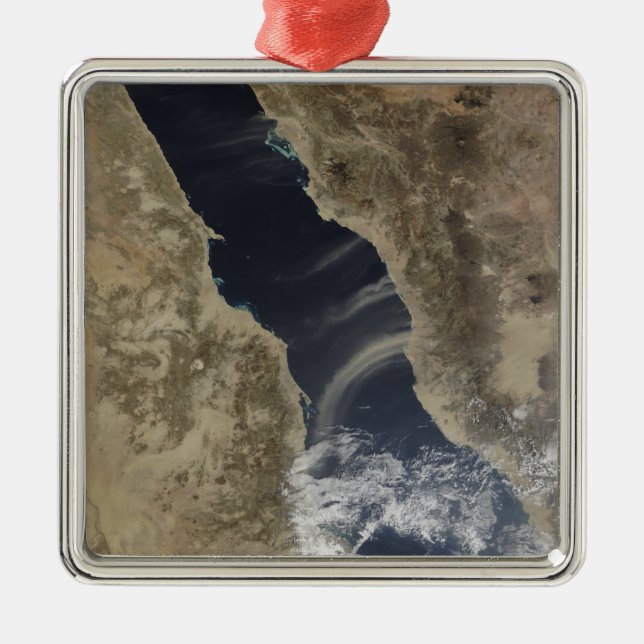 Dammstötar utanför Saudiarabiens kusten Julgransprydnad Metall (Framsidan)