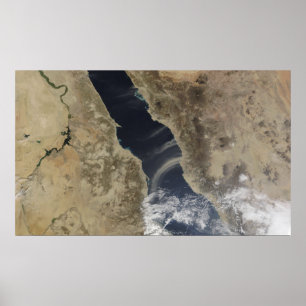 Dammstötar utanför Saudiarabiens kusten Poster