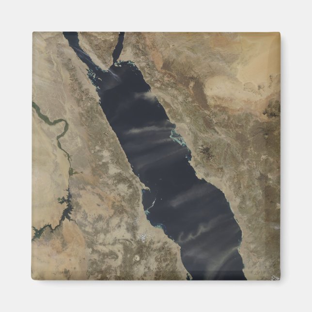 Dammsugnar över Röda havet Magnet (Framsidan)