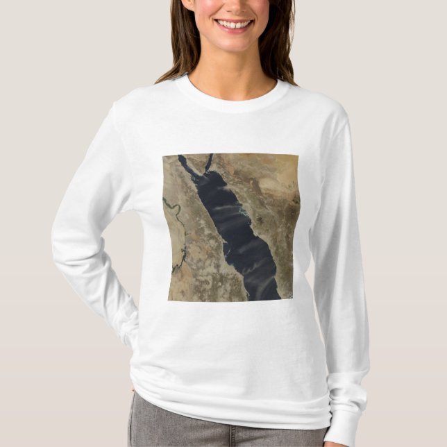 Dammsugnar över Röda havet T Shirt (Framsida)