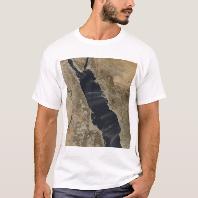 Dammsugnar över Röda havet T-shirt (Framsida)