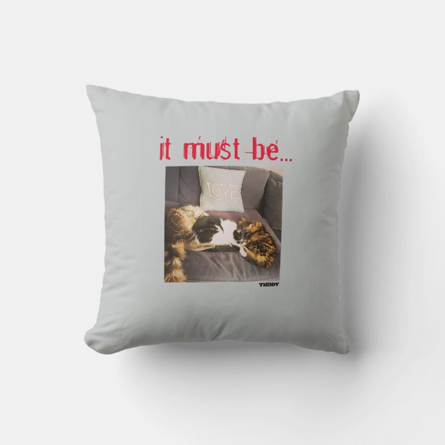 Dämpa Kudde (Framsida)