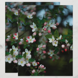 Dämpad äppelträd blommar Scrapbookpapper