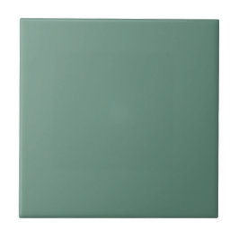 Dämpad Elegans Ocean Teal Dekorativ Keramisk Platt Kakelplatta