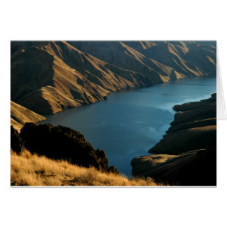 DÄMPAD ORM: December flod Hälsningskort