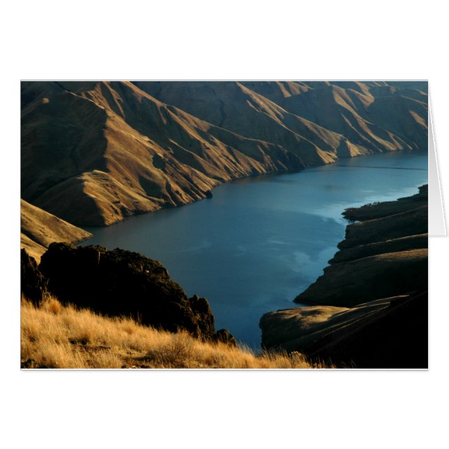 DÄMPAD ORM: December flod Hälsningskort (Framsidan Horizontal)