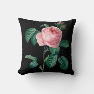 Dämpar den svart blommigten för rosa ros kudde