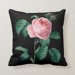 Dämpar den svart blommigten för rosa ros kudde