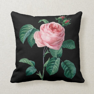 Dämpar den svart blommigten för rosa ros kudde