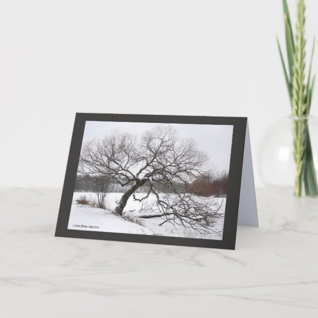 Dampil vinter kort (Framsida)