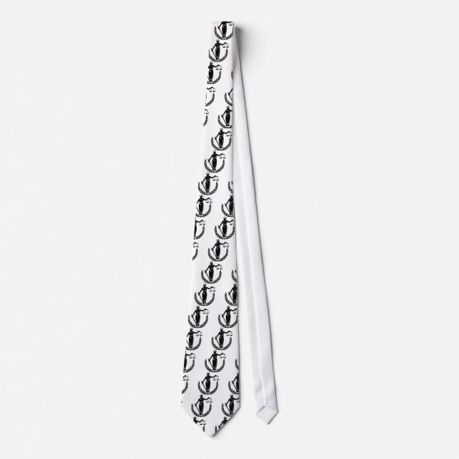 DAMRÄTTVISAKLÄDER SLIPS (Framsida)
