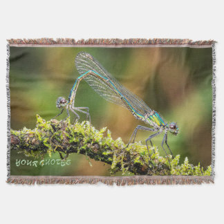 Damselflies Macro - Iridescent Love on Moss Filt