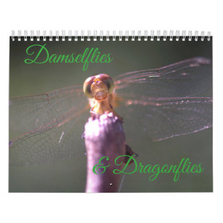 Damselflies- och sländakalender kalender