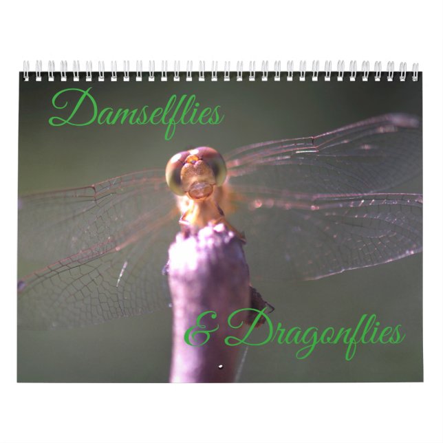 Damselflies- och sländakalender kalender (Omslag)