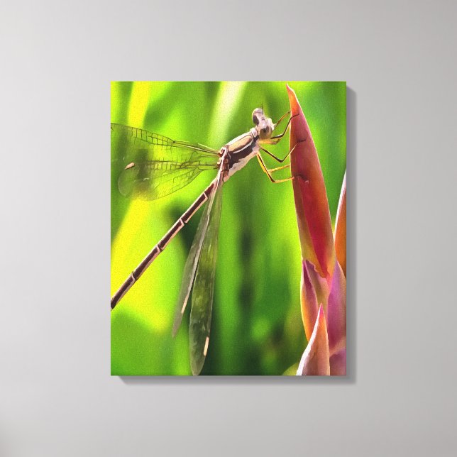 Damselfly balanserat på en blommande huvud canvastryck (Framsida)