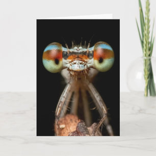 DAMSELFLY CUTE CLOSEUP-KORT KORT