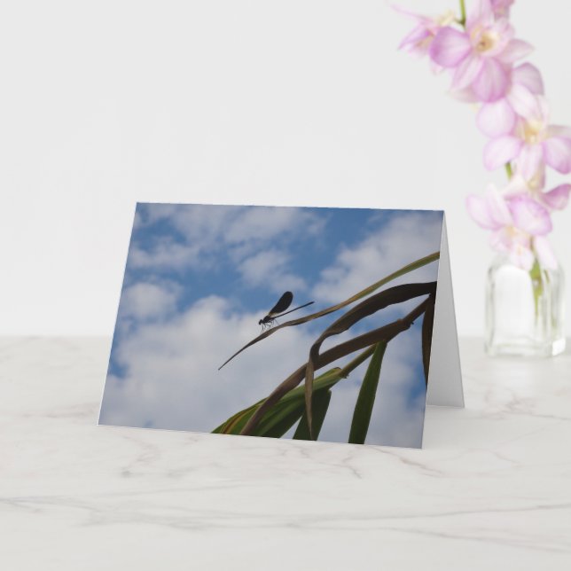 Damselfly i Blå himmel Kort (Orkide)