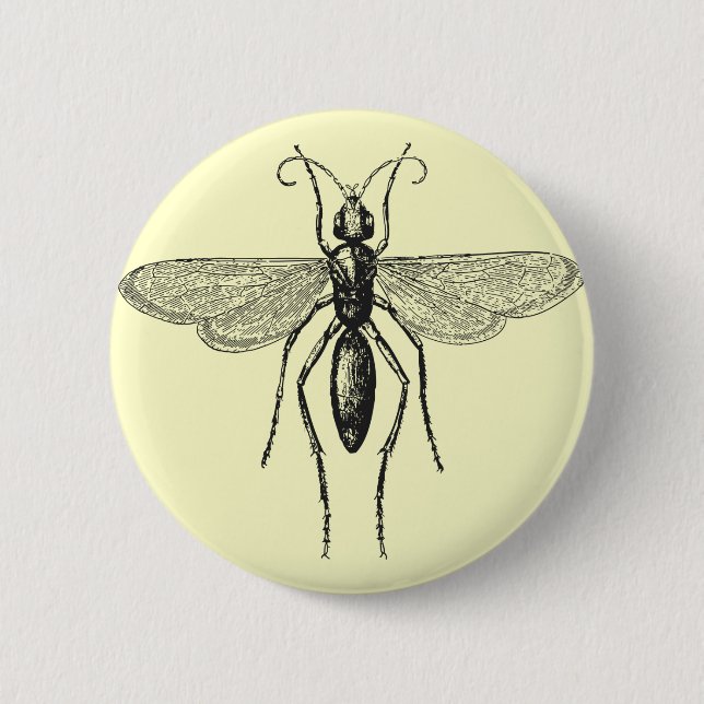 Damselfly Knapp (Framsida)